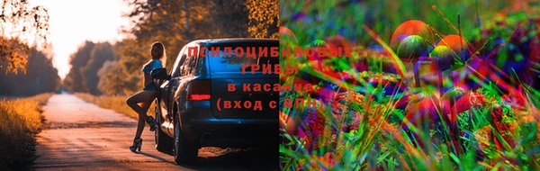 кокаин VHQ Козельск