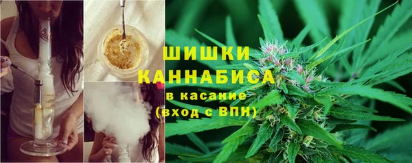 ALPHA PVP Краснослободск