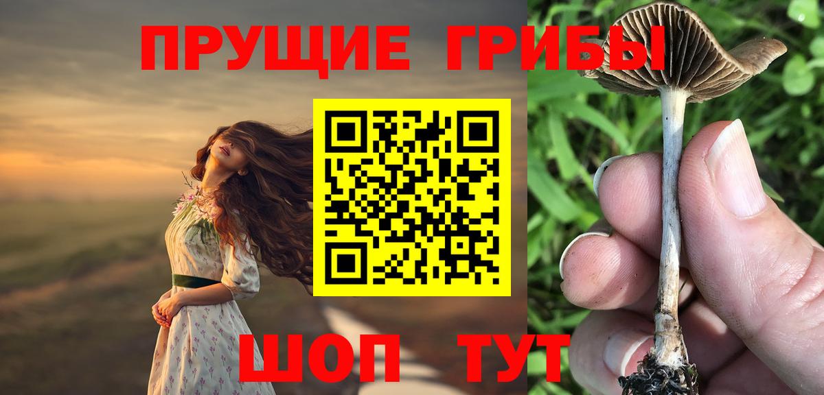 Кудымкар  Галлюциногенные грибы MAGIC MUSHROOMS  купить наркотик  Вход с VPN 